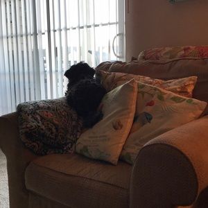 Meet your Posher, Anthony